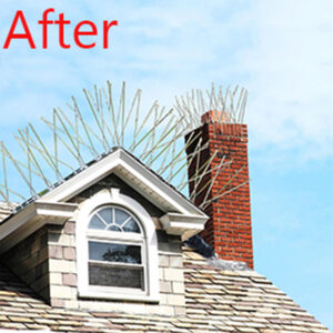bird spikes for solar panels