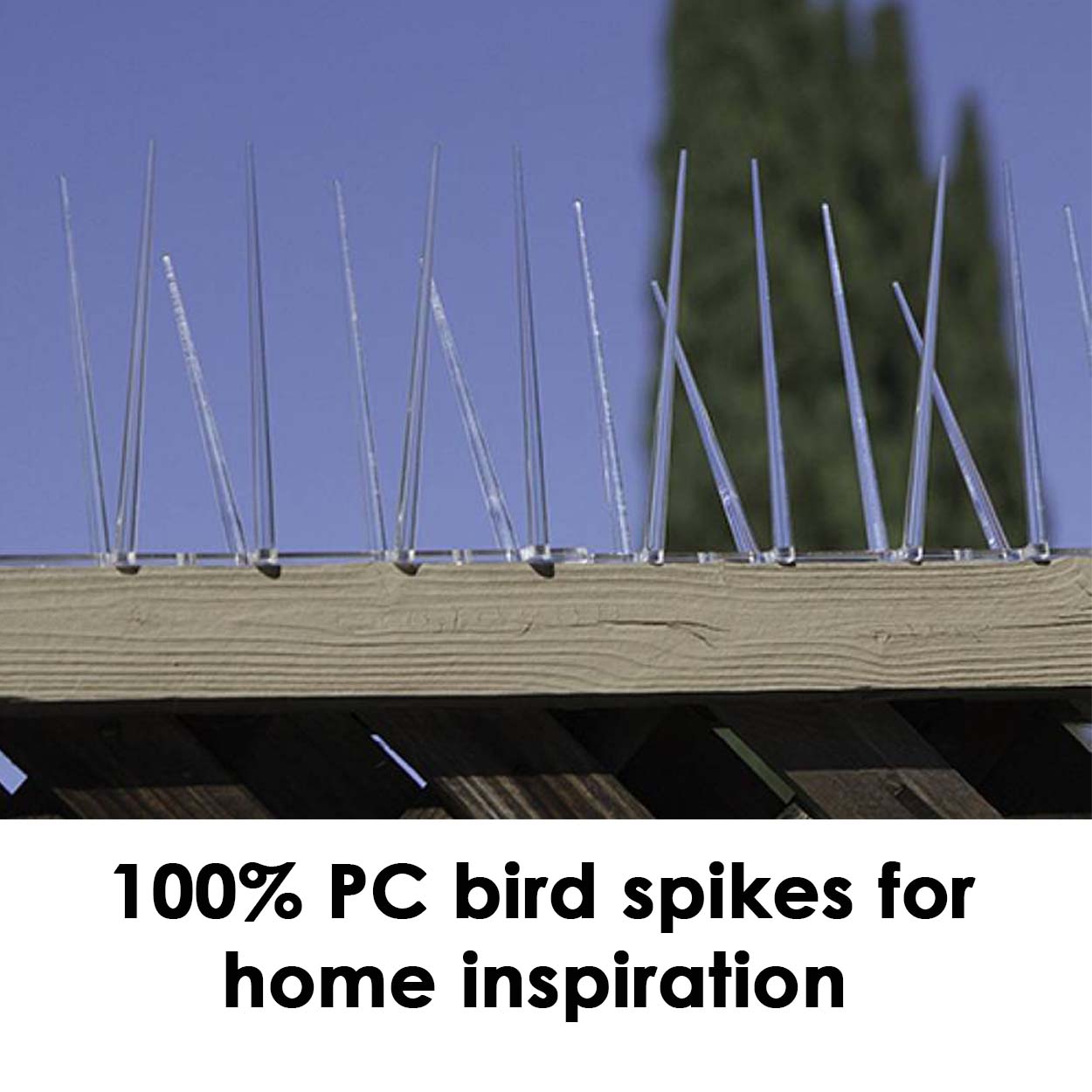 100% PC bird spikes for home inspiration