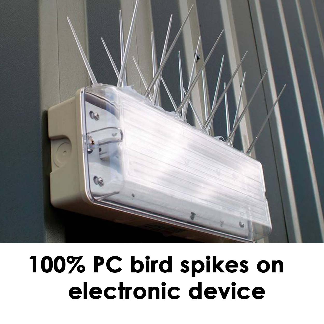 100% PC bird spikes on electronic device