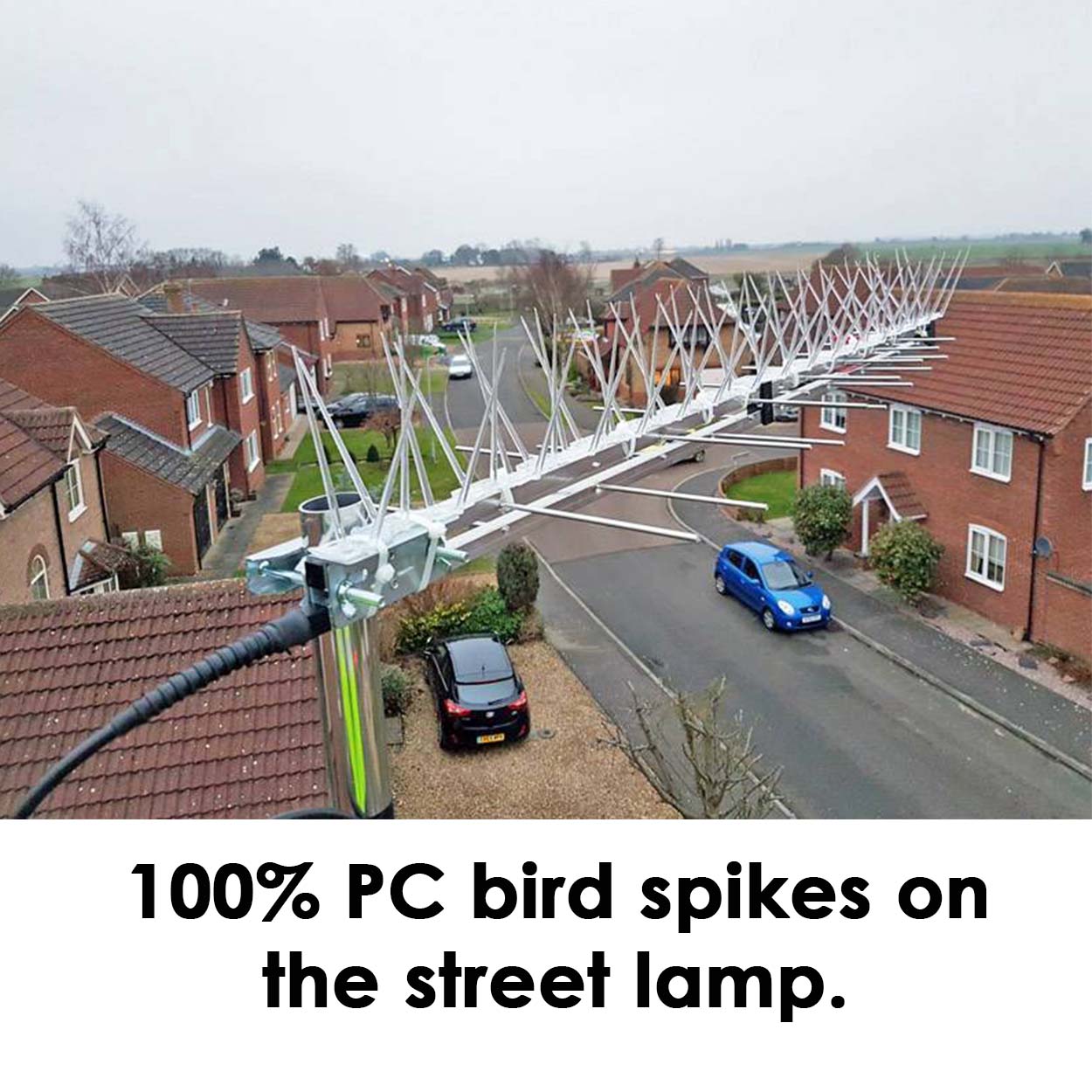 100% PC bird spikes on the street lamp.