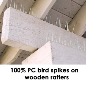 Install 100% PC bird spikes on the pipe