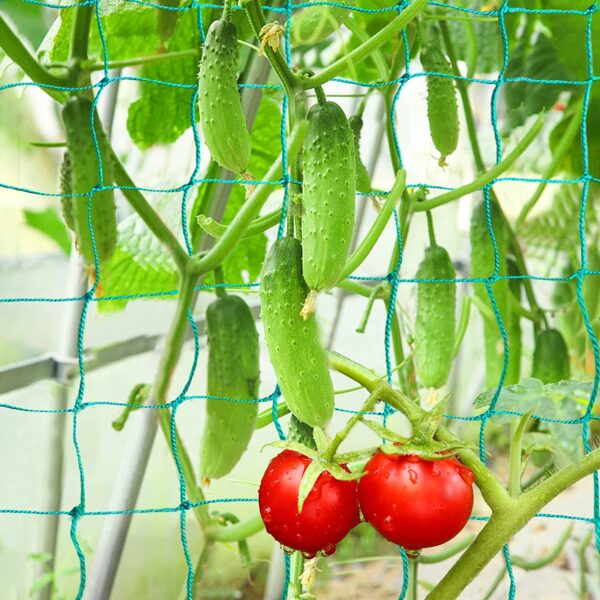 climbing support net for home garden plants