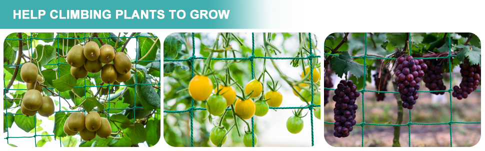 Heavy Duty Garden Trellis Nettting Effectively Protects Your Vegetables & Fruits