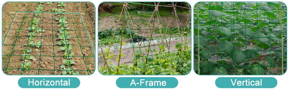 climbing plant support netting