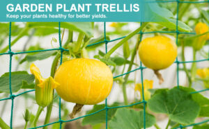 climbing plant support net