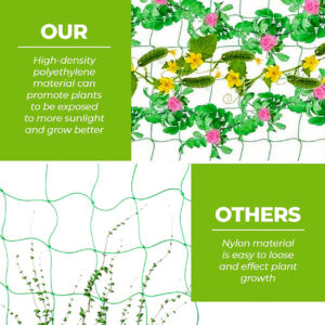 क्रॉप टॉप नेट वाला