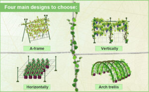 vegetable creeper net