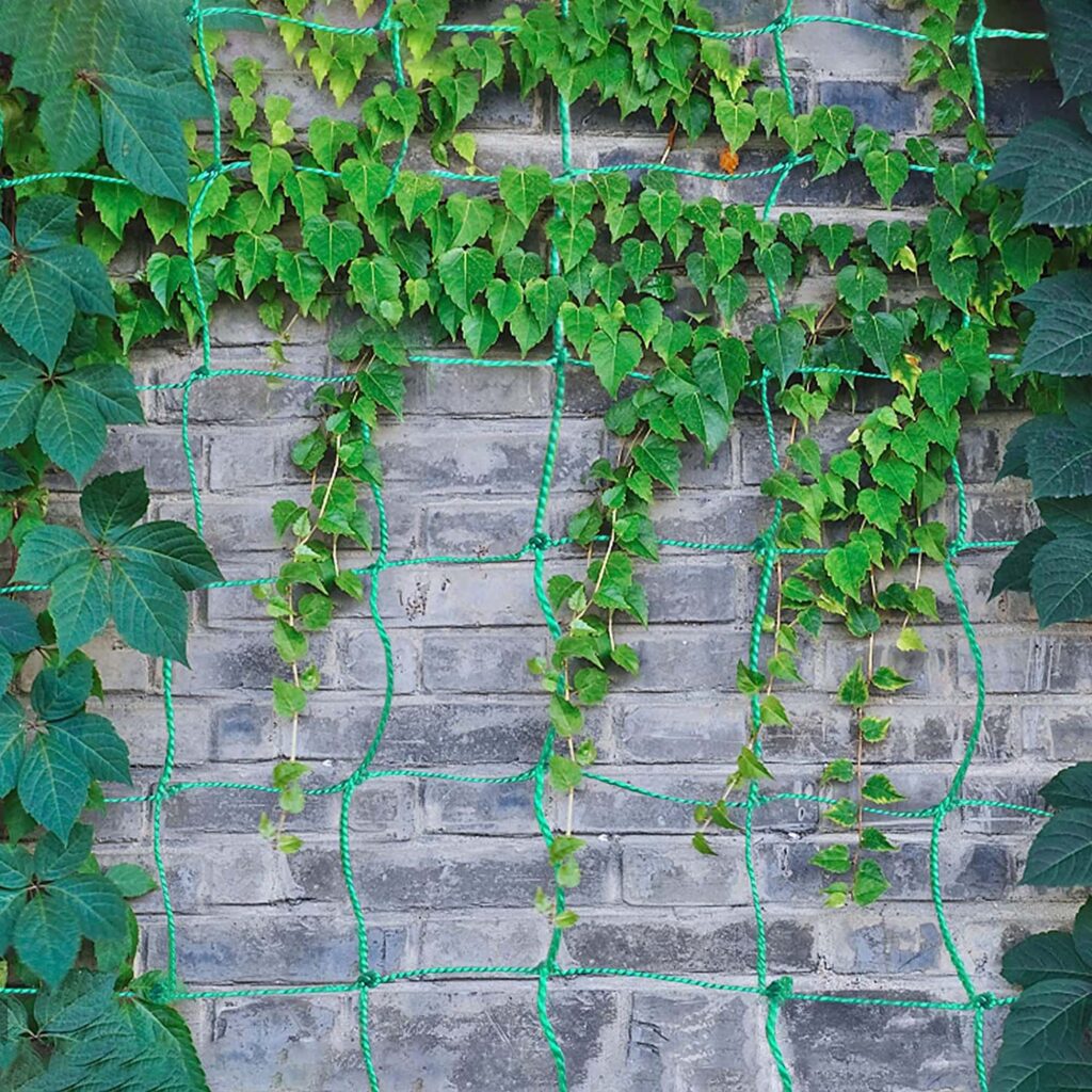 Creeper net for plant climbing