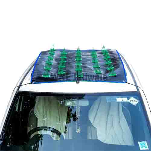 Top car protection cover from dog
