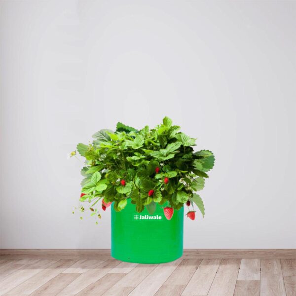 HDPE Green Grow Bags 6x6 inches