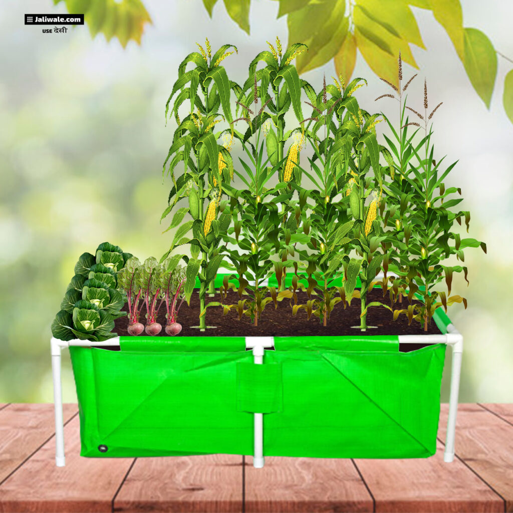 HDPE 3x2x1ft Rectangle Grow Bag With Supporting Pvc Pipes